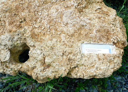 Geologická expozice Čížkova skála (3)