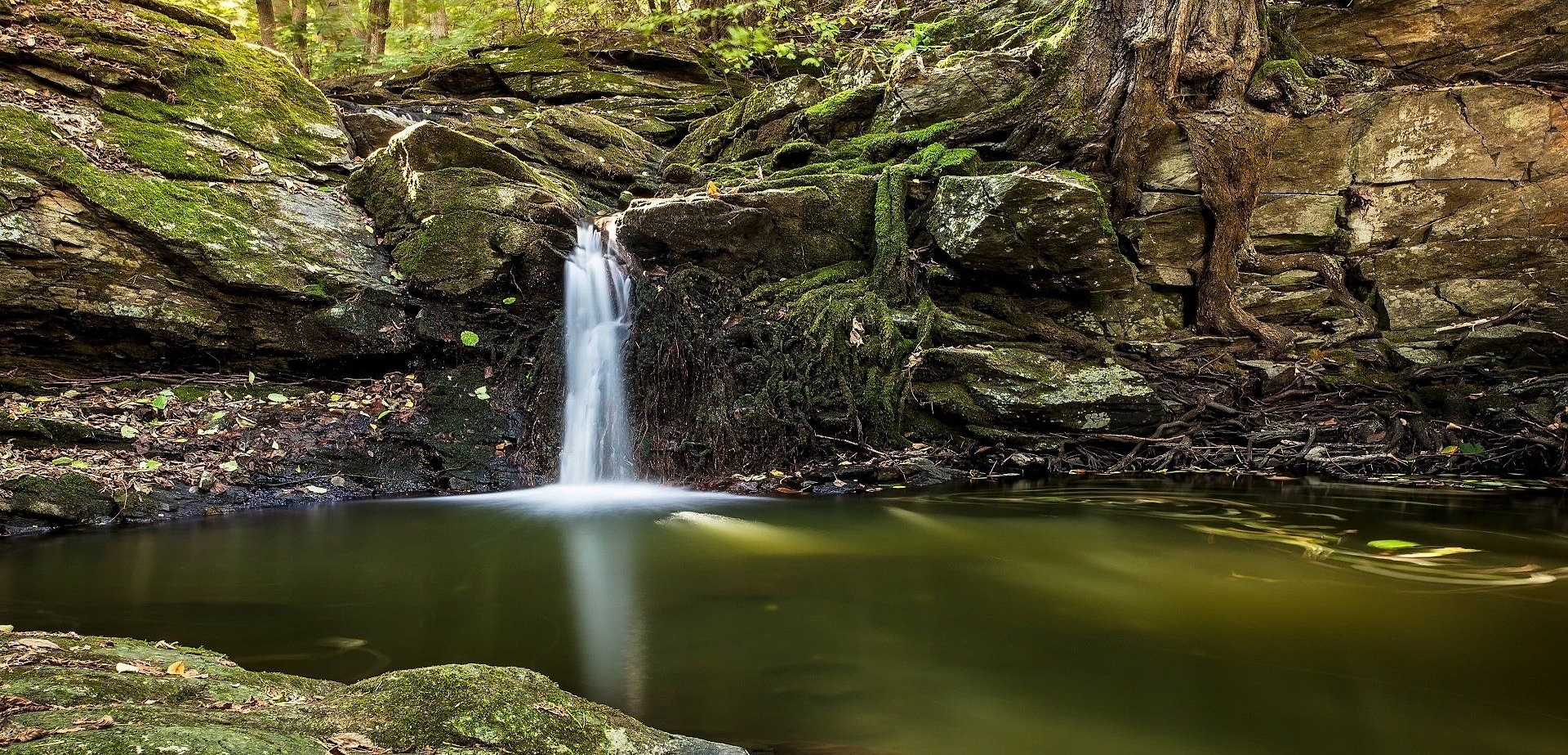 Udoli Vrchlice © Jiri Coubal_1920x924